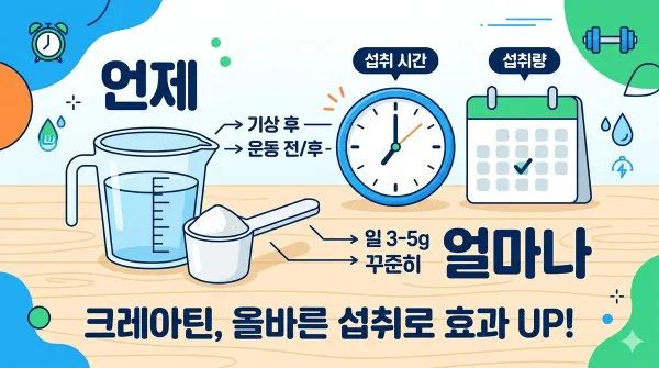 크레아틴 복용법 - 로딩 할까 말까부터 타이밍까지