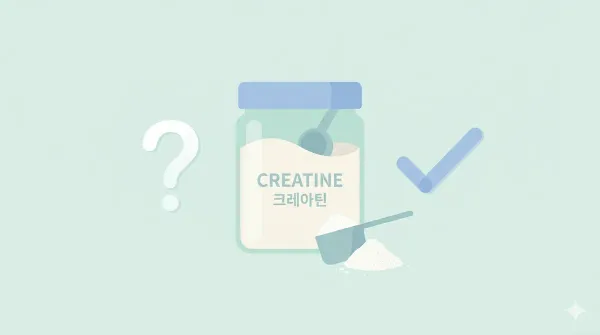 크레아틴 부작용, 신장·간·탈모까지 정리했습니다